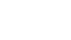 antzlab logo white